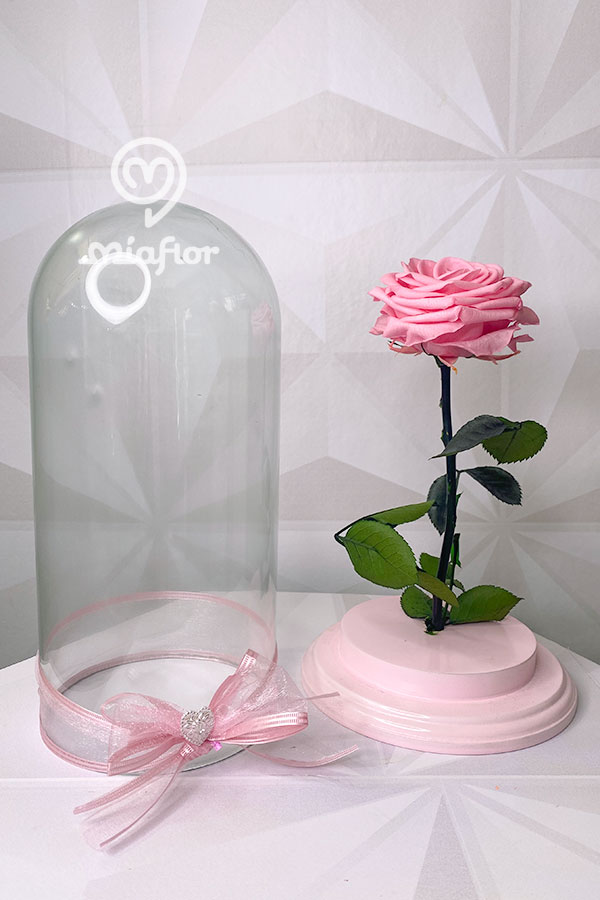 Fiambrera hermética cristal 2 compartimentos - Floristería online, comprar  y regalar flores por internet